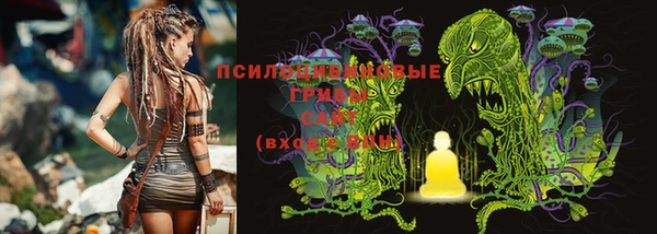 дурь Медвежьегорск